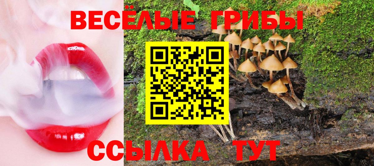 Протвино  Галлюциногенные грибы мицелий  Вход с VPN  Галлюциногенные грибы Cubensis 