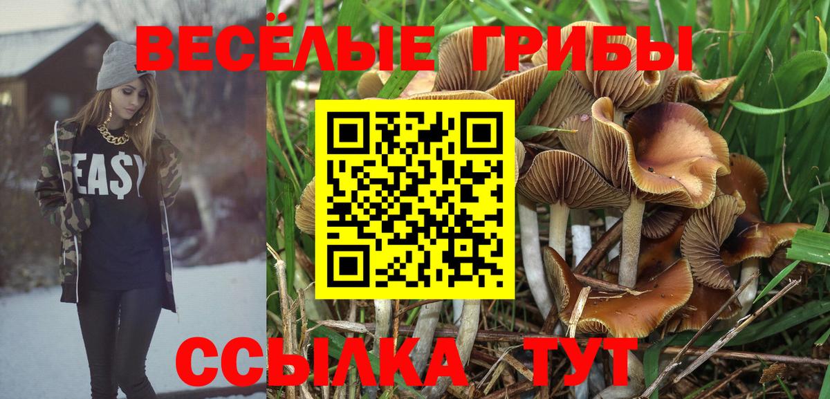 Галлюциногенные грибы мицелий Протвино